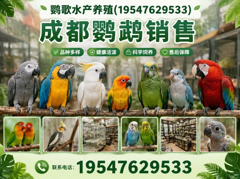 青羊区鹦歌水产养殖展示图